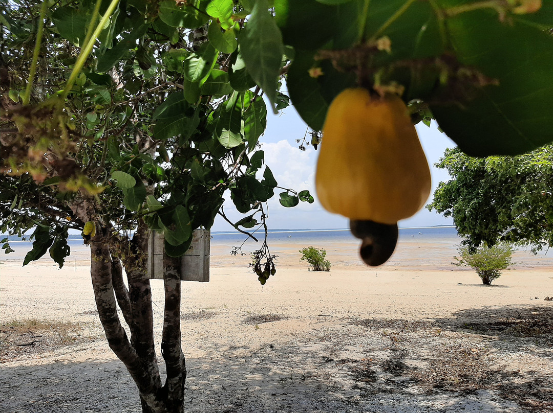 Rio Arapiuns-Santarem必去景点