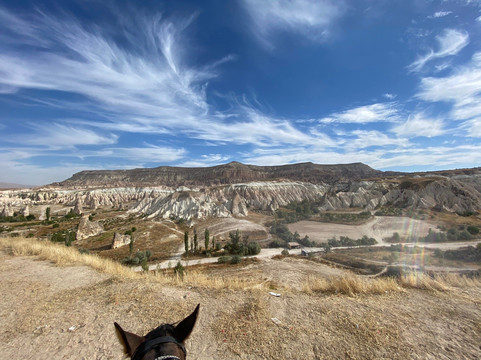 Lucky Horse Ranch-格雷梅必去景点