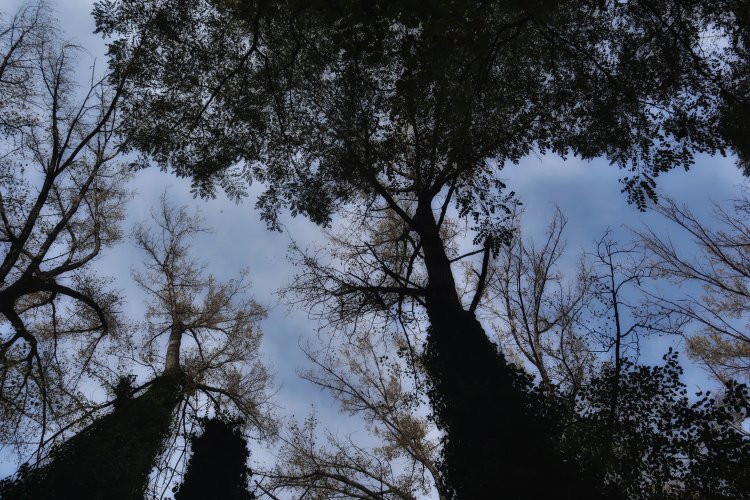 Biotopo Lago di Pudro-Pergine Valsugana必去景点