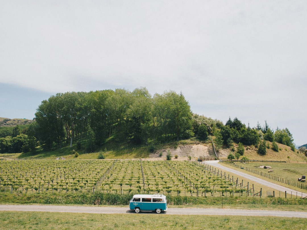 Avantogo Tours-纳皮尔必去景点