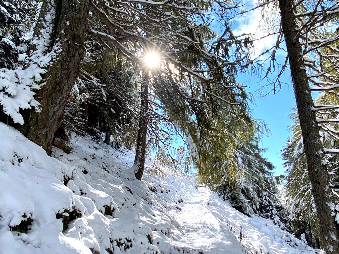 Rofan Seilbahn-石山洛芬必去景点