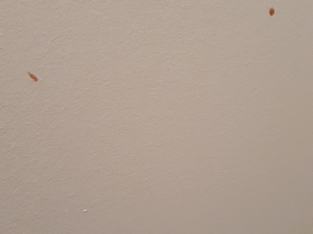 Maison Oppoca Hôtel Restaurant & Spa主图