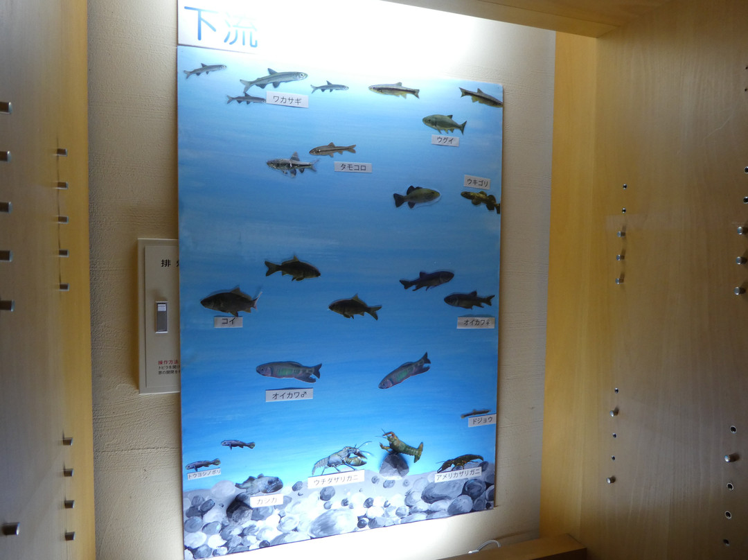 Urabandai Visitor Center-北盐原村必去景点