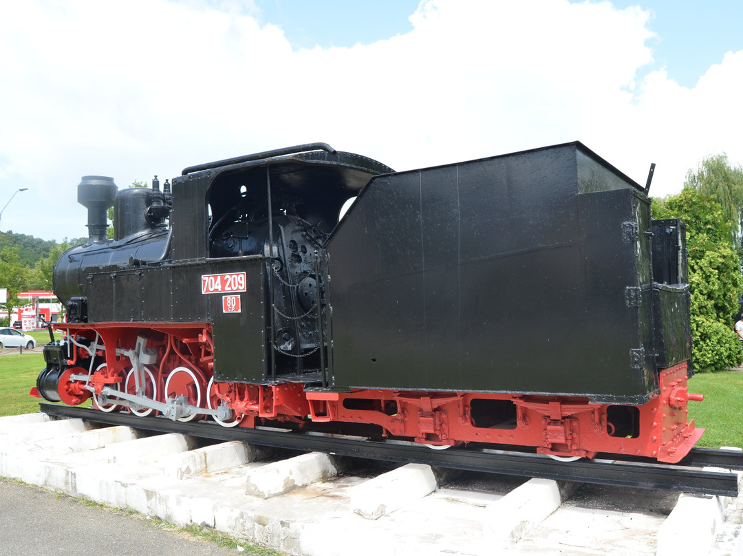 Muzeul de Locomotive (Steam Locomotive Museum)景点图片