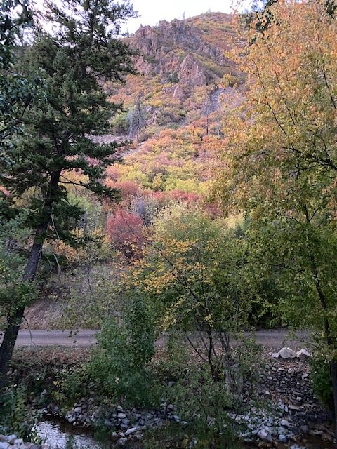 Bed and Breakfast on Mitchell Creek-浴室