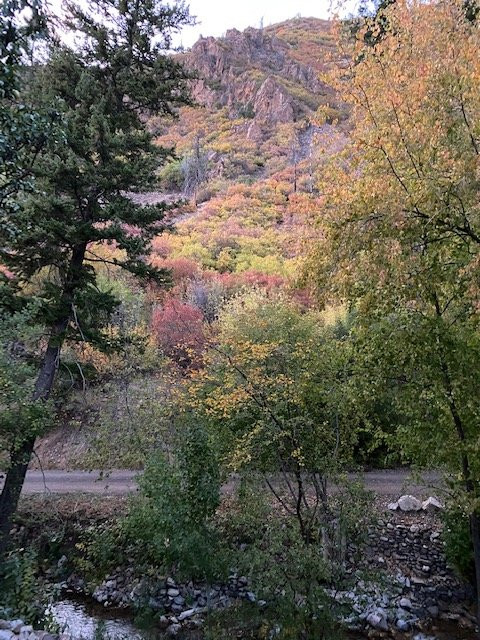 Bed and Breakfast on Mitchell Creek主图