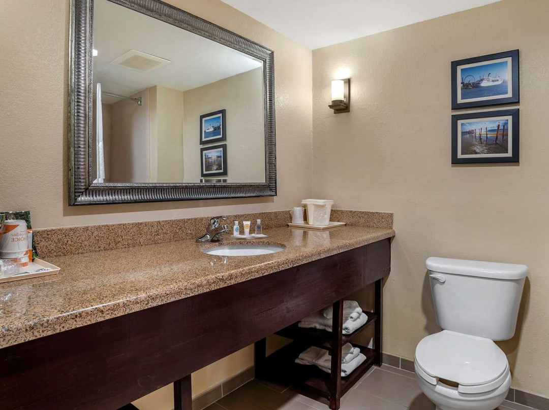 Comfort Suites主图