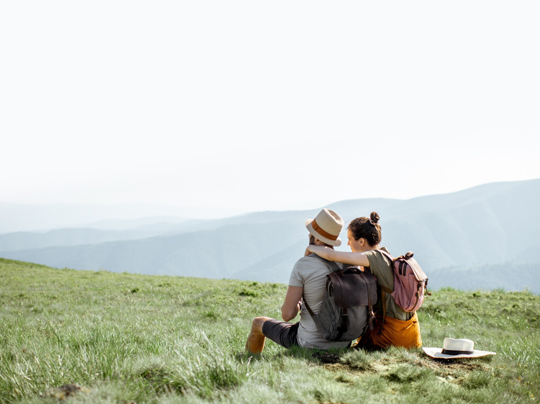 Mansfield Bushwalks-曼斯菲尔德必去景点