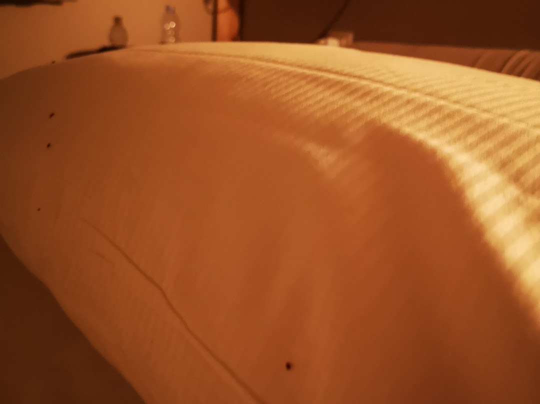 Agriturismo Sweet Cottage主图