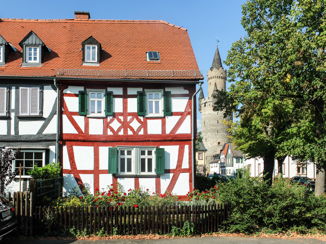 Friedberg Castle景点图片