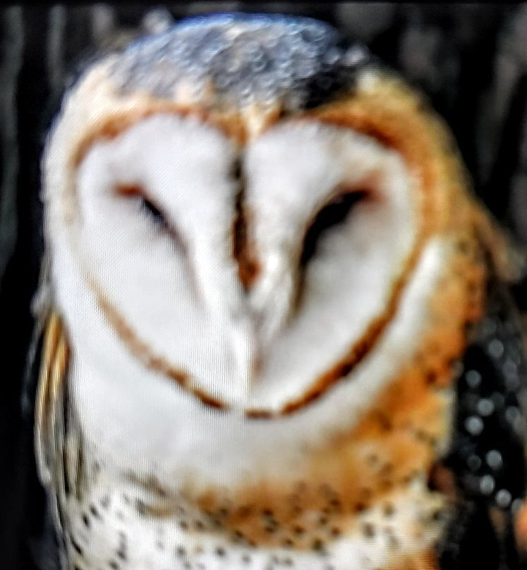 Woodlands Nature Station-Cadiz必去景点