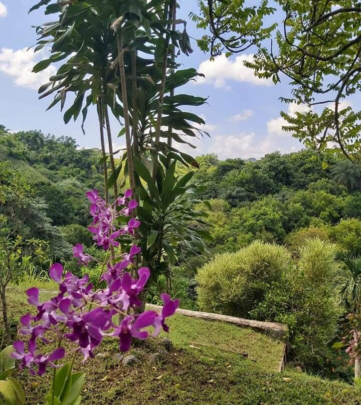 Top O' Tobago Villa & Cabanas主图