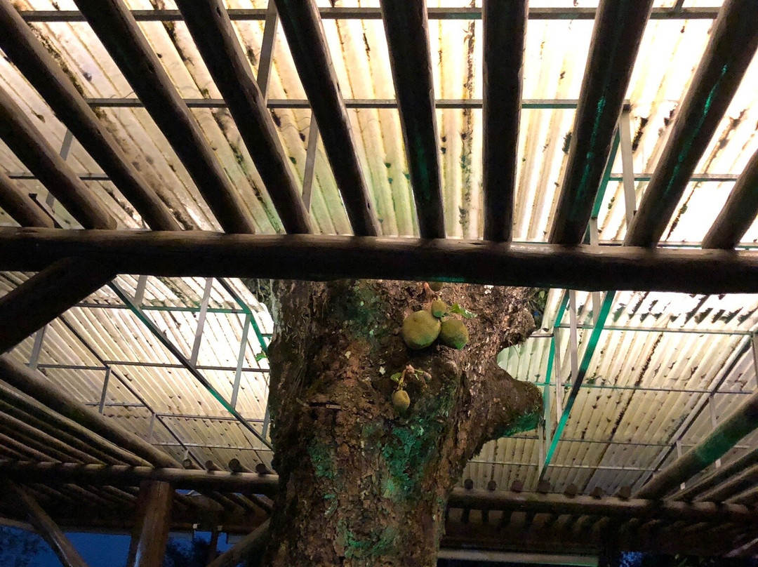 Igreja Do Ceu-Vicosa Do Ceara必去景点