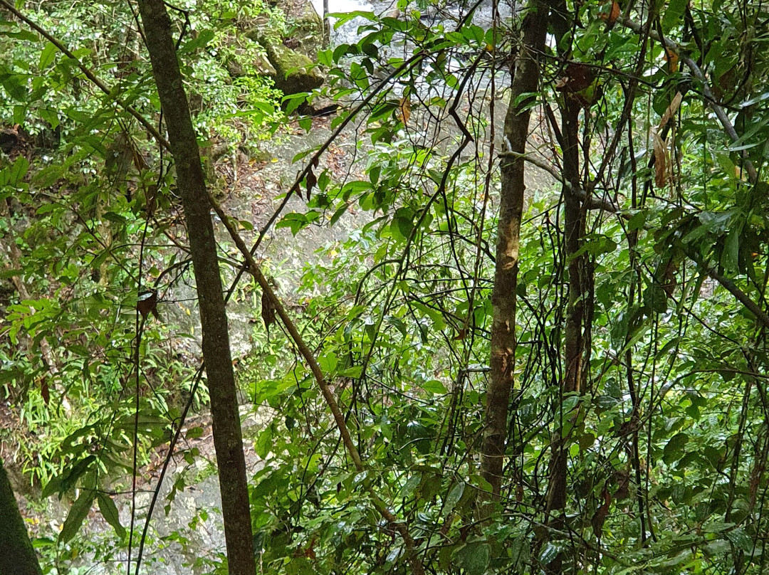 Mount Hypipamee Crater-Herberton必去景点