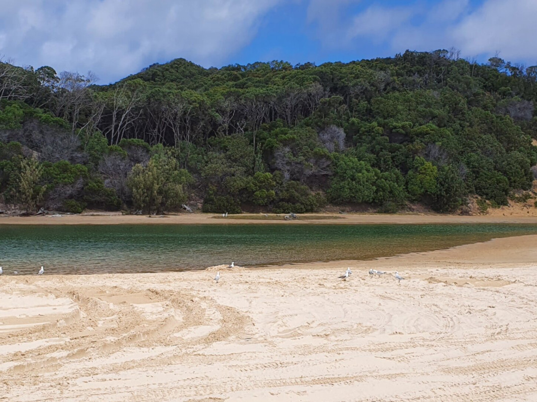 Great Beach Drive 4WD Tours-Noosa Heads必去景点