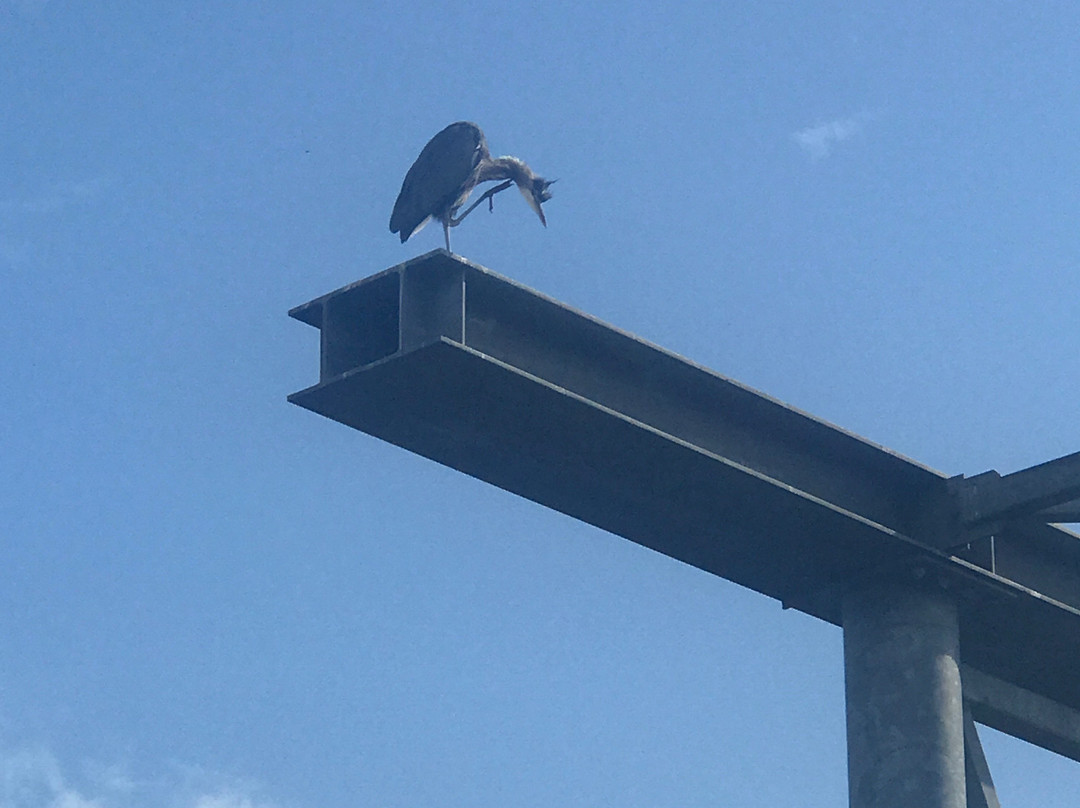 Seafarers Memorial Park景点图片