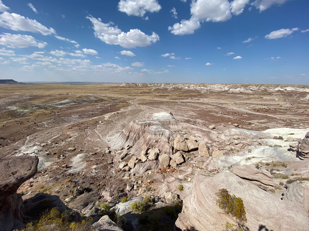 Jasper Forest景点图片