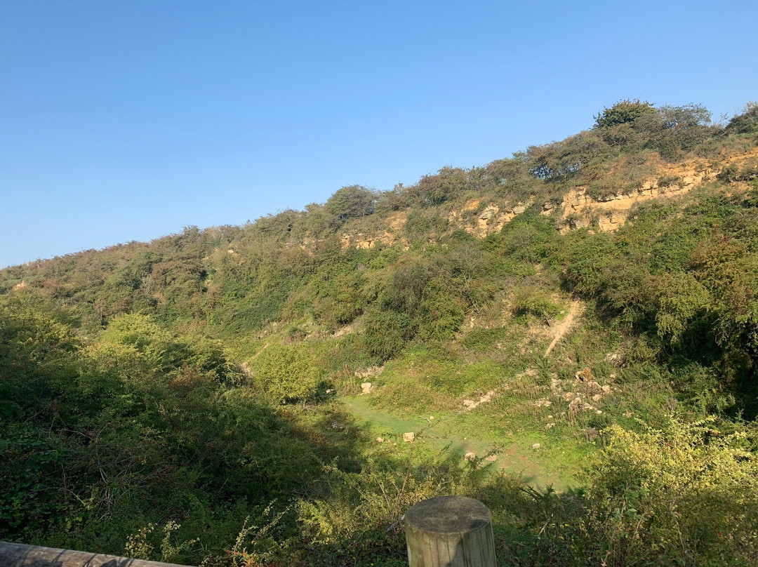 Irchester Country Park景点图片