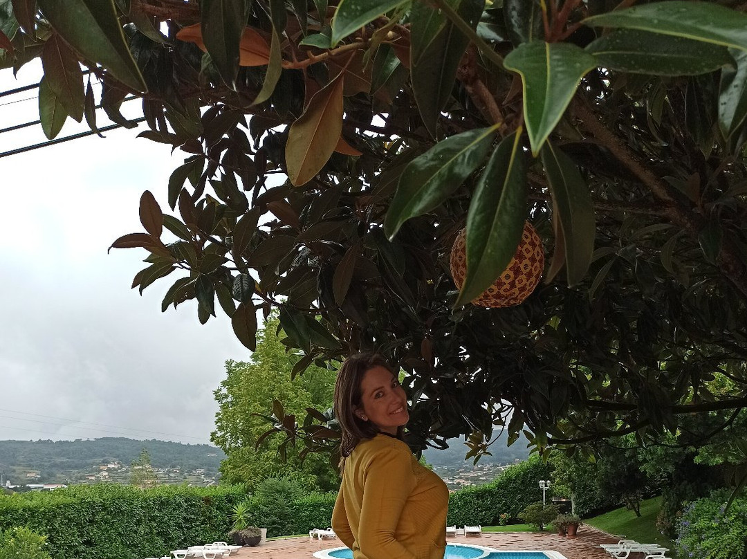 A Casa do Almocreve主图