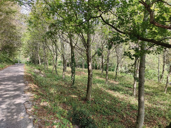 Valle Dei Progni景点图片