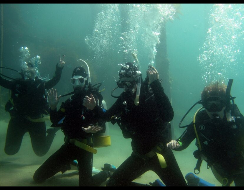 Diving Adelaide-Glandore必去景点