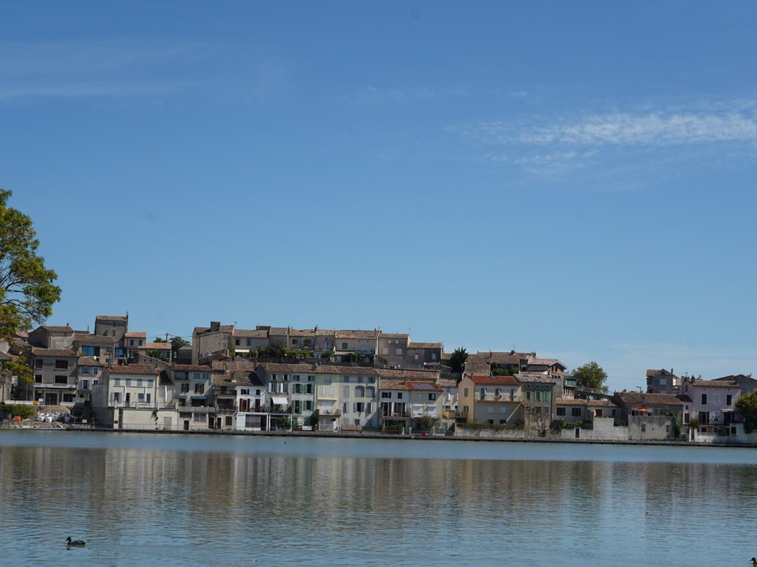 Le Grand Bassin-Castelnaudary必去景点