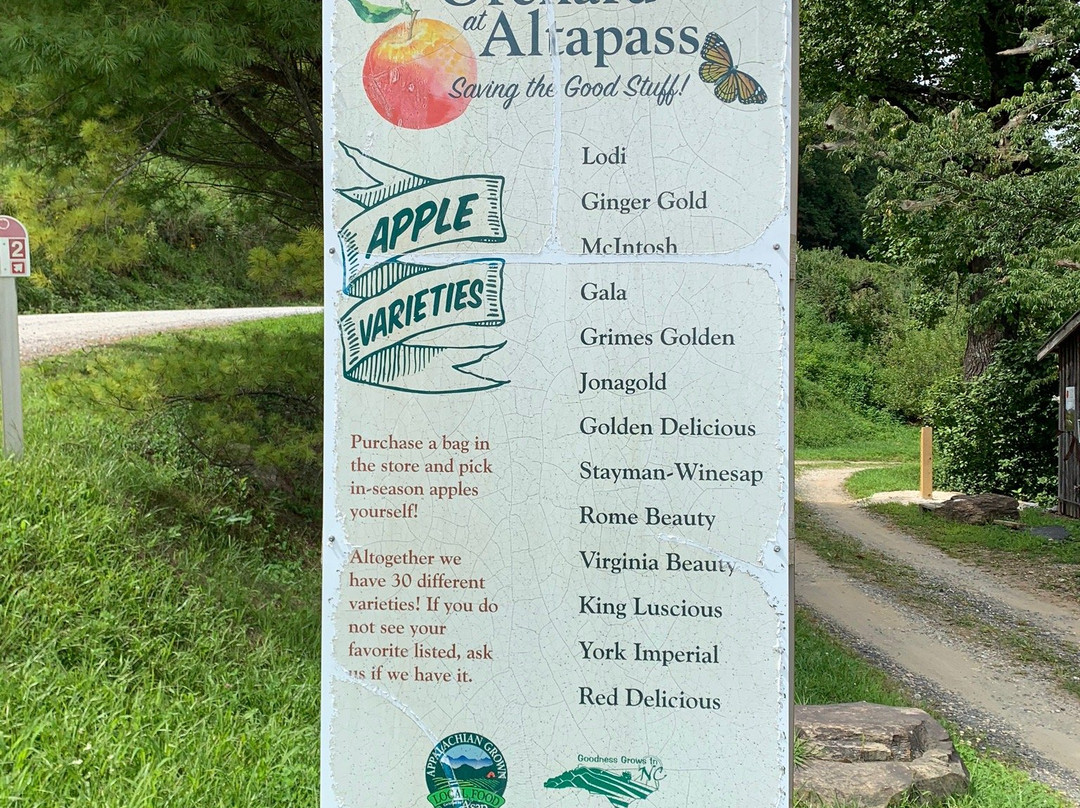 The Orchard At Altapass景点图片
