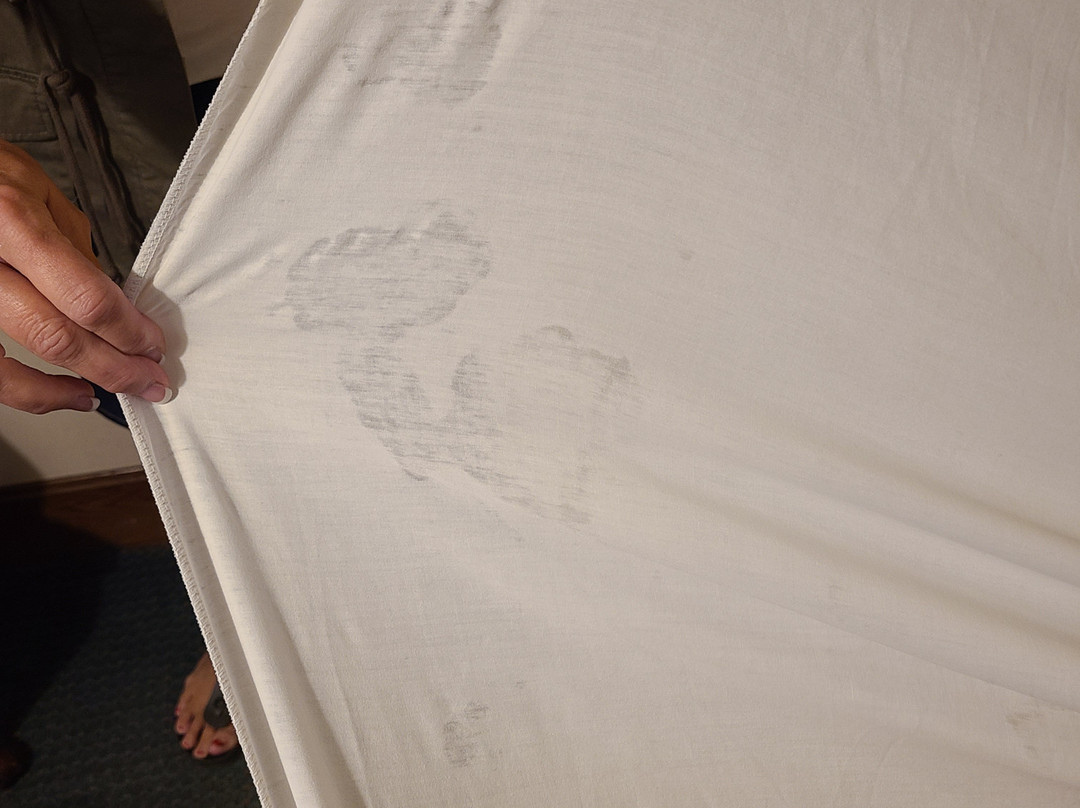 Flying Saddle Resort主图