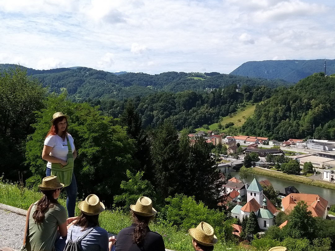HoneyBrew Lasko Tour-Lasko必去景点