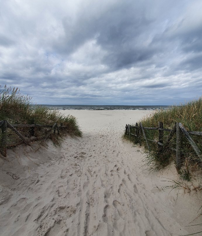 Plaża Białogóra景点图片