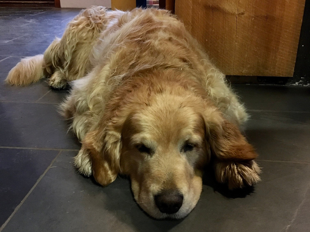 Country Hotel Heydalur主图