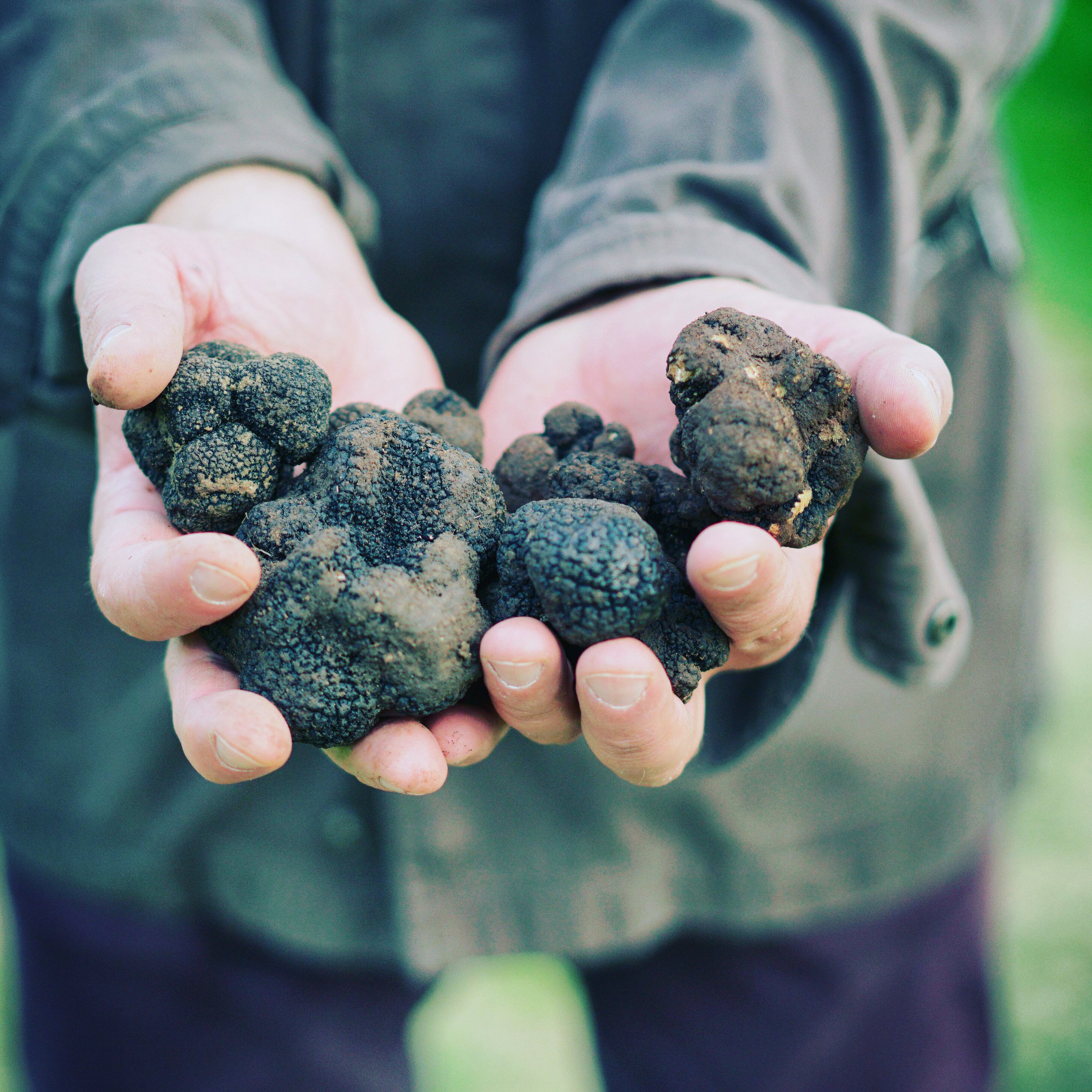 B&B Le Pietre Vive-官方