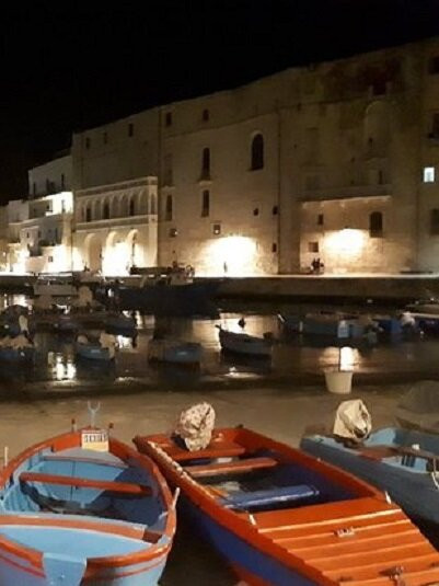 Porto antico di Monopoli-莫诺波利必去景点