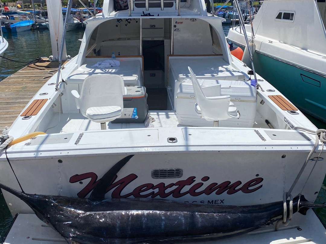 Titos Sportfishing-卡波圣卢卡斯必去景点