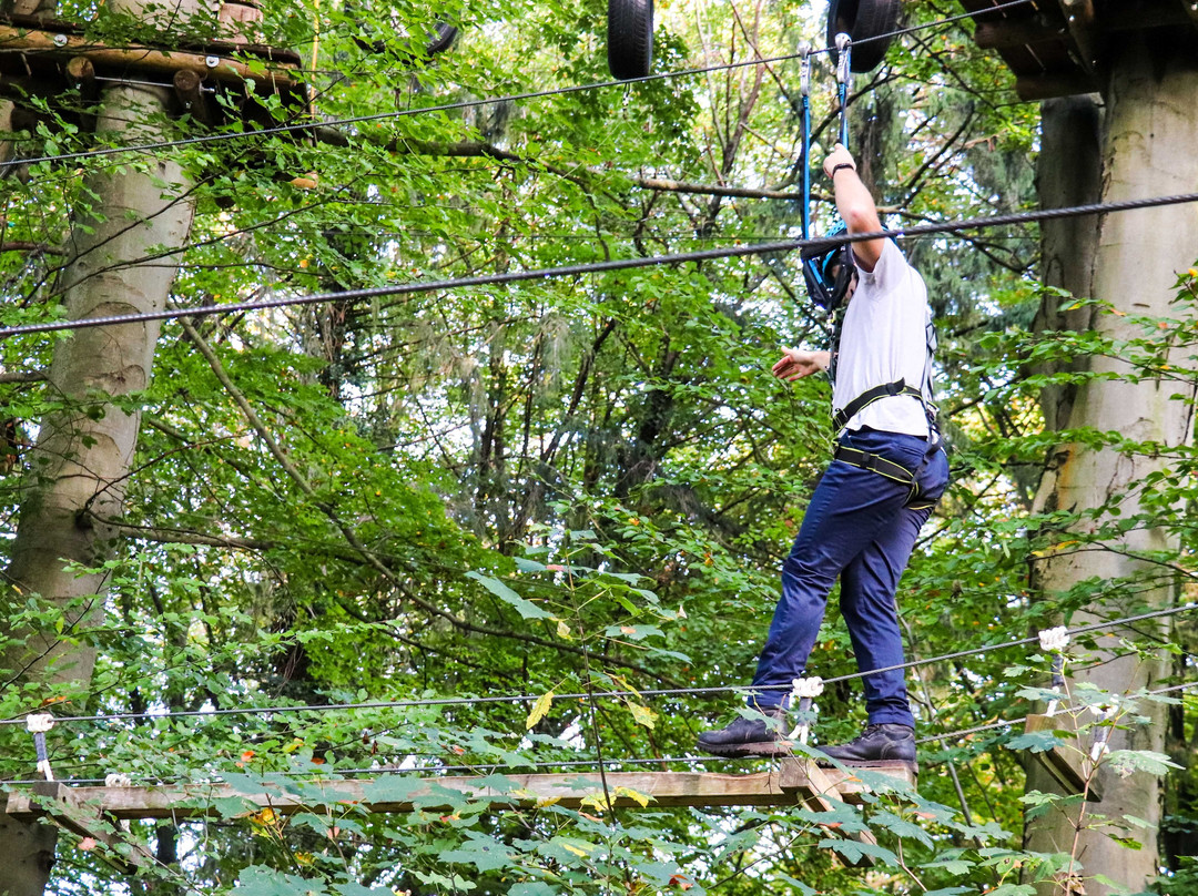 Waldseilpark Karlsruhe-卡尔斯鲁厄必去景点