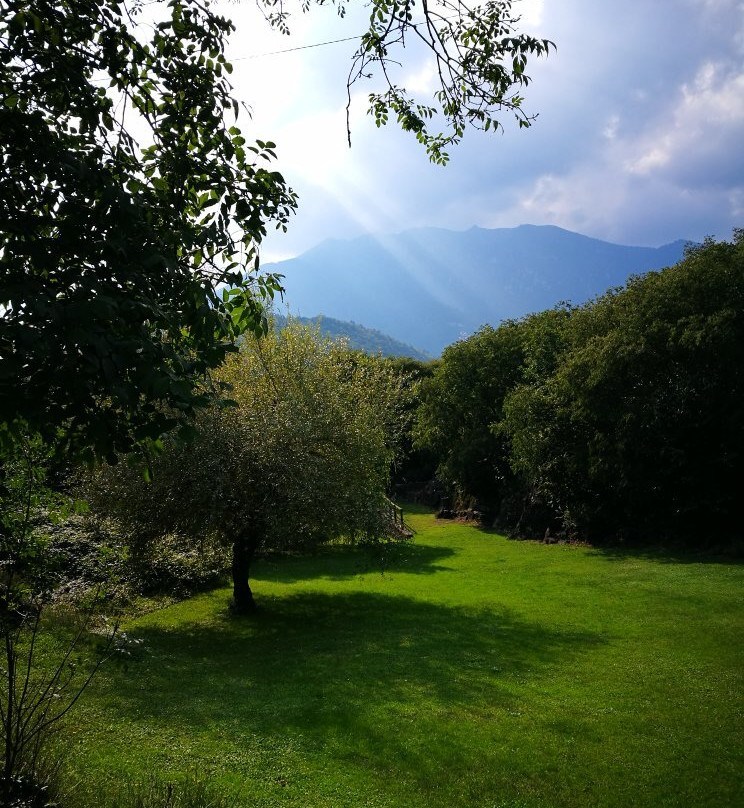 Parco Comunale delle Incisioni Rupestri di Luine景点图片