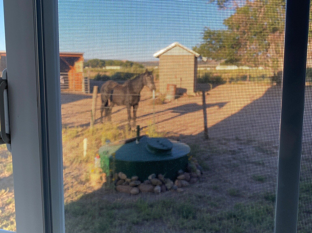 Casa Azul Bed & Breakfast主图