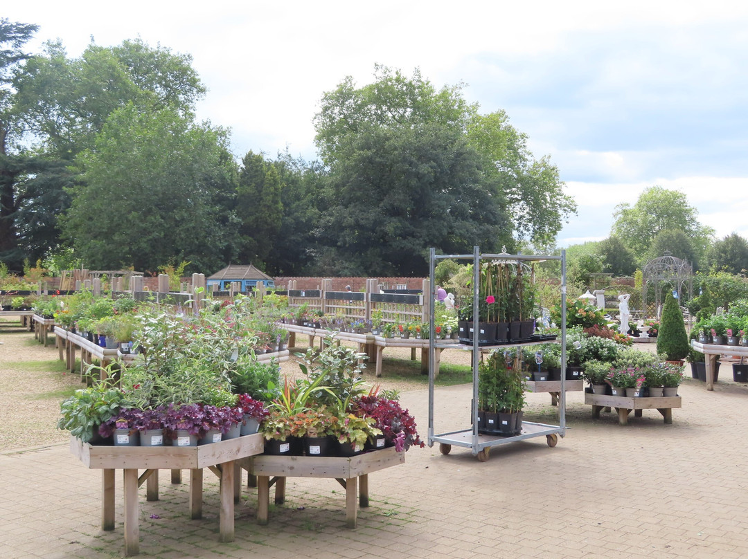 Bosworths Garden Centre景点图片