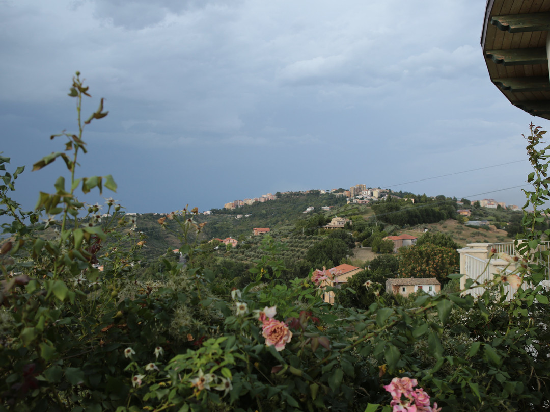 Azienda Agrituristica Il Quadrifoglio主图