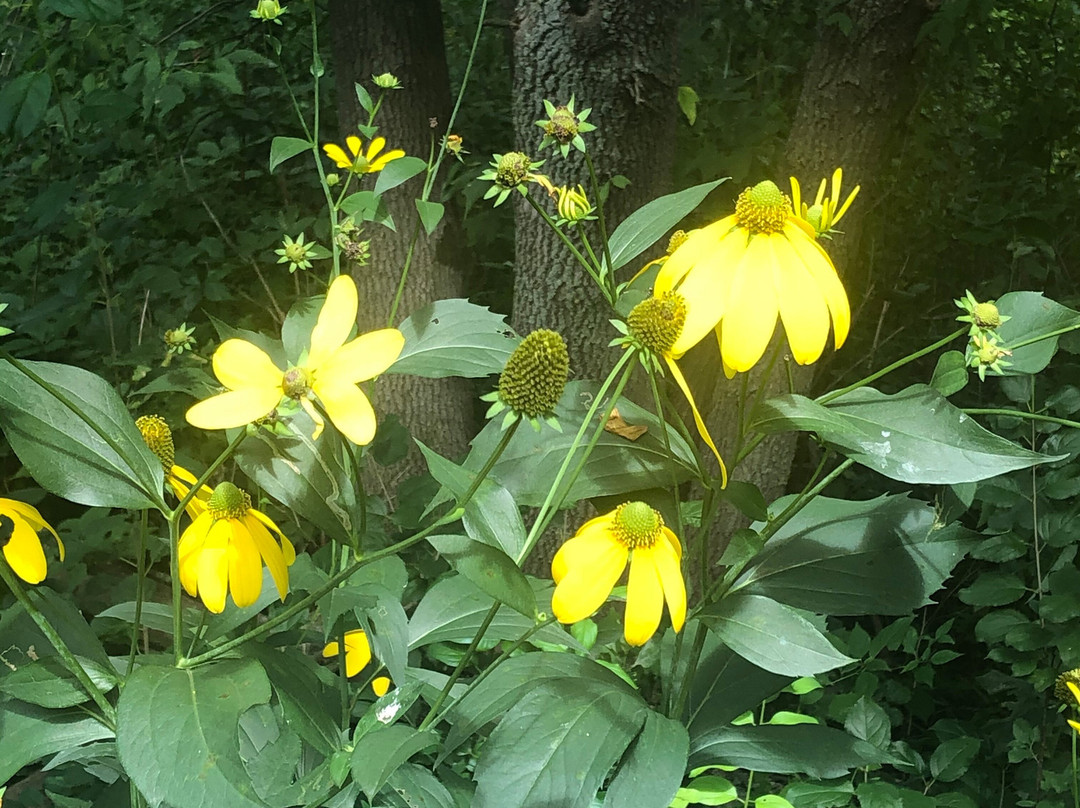 Jardins Michel Corbeil-Saint-Eustache必去景点