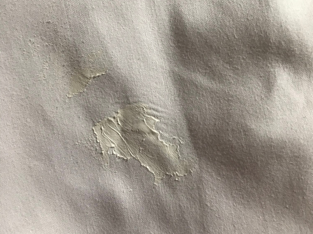 Garden City Motor Inn主图