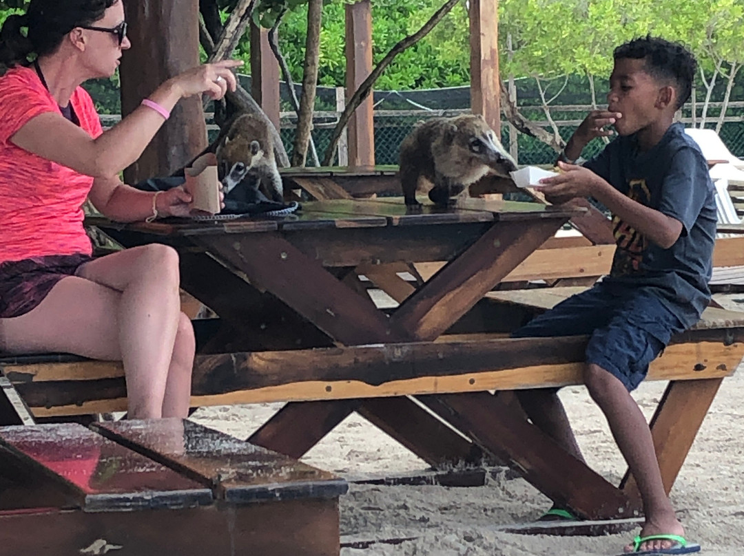 Iberostar Waves Paraíso Beach主图