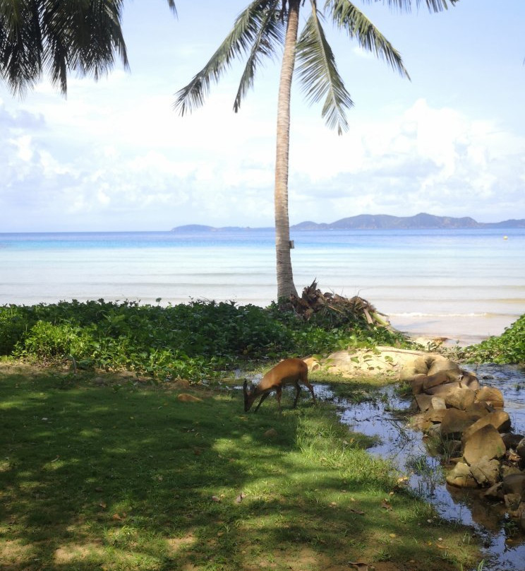 Ko Rang-象岛必去景点