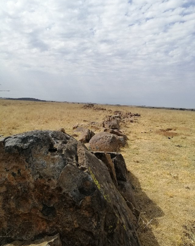 Dome Impact Tours-Parys必去景点