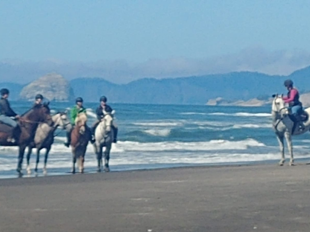 Willamette Coast Ride-Carlton必去景点