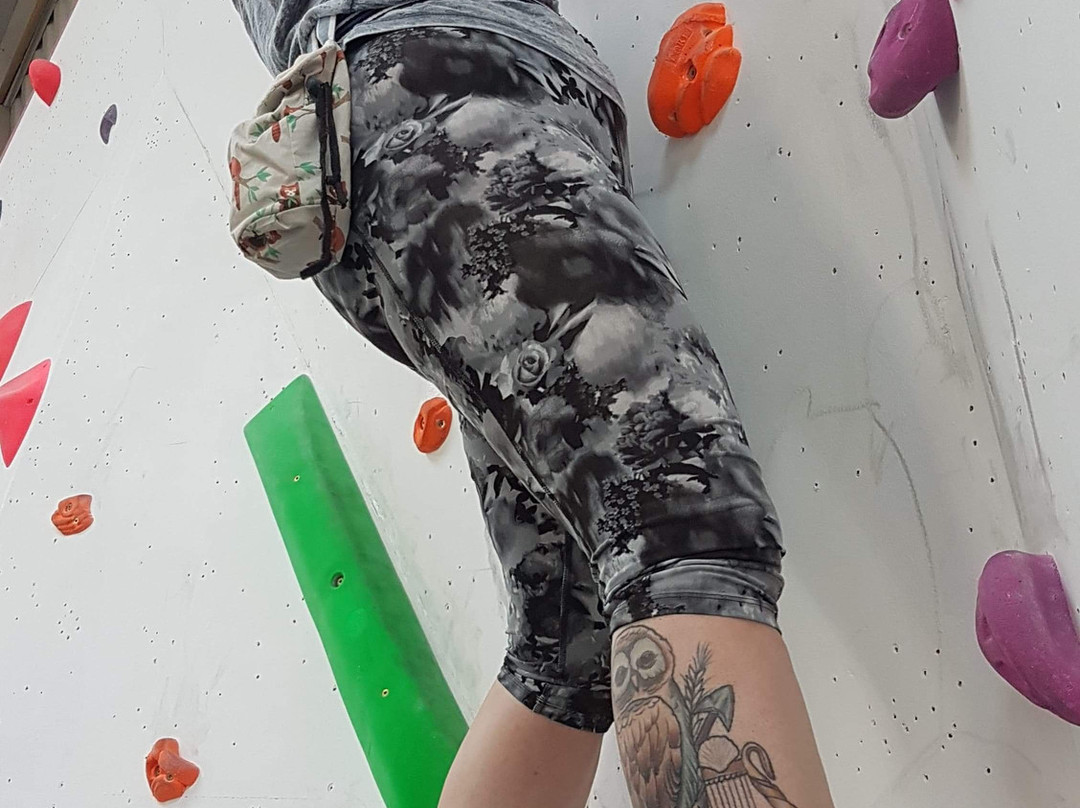 Flash Climbing Centre景点图片