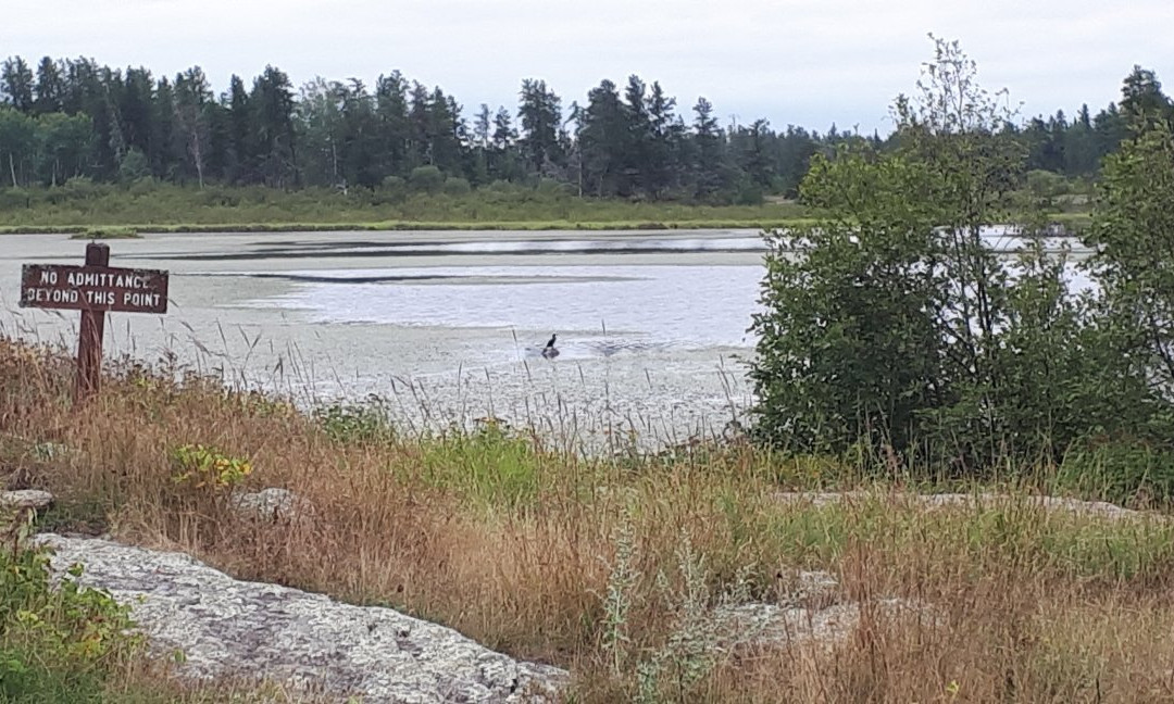 Alfred Hole Goose Sanctuary and Visitor Centre-Rennie必去景点