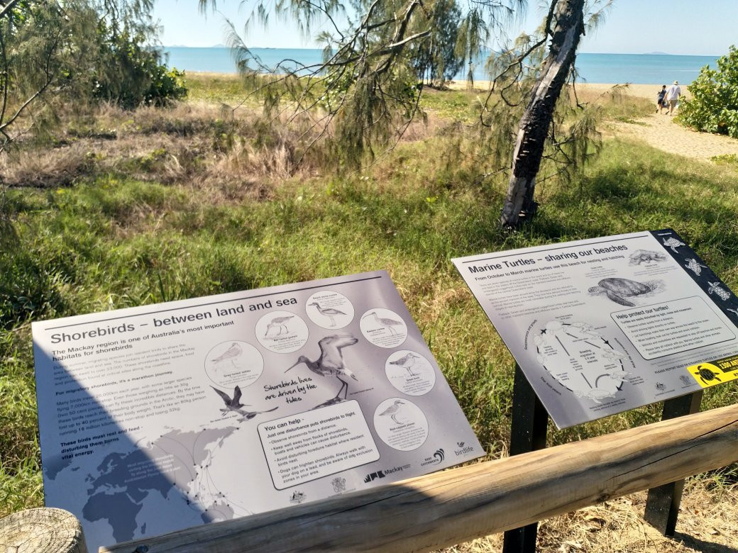 Bucasia Beach景点图片