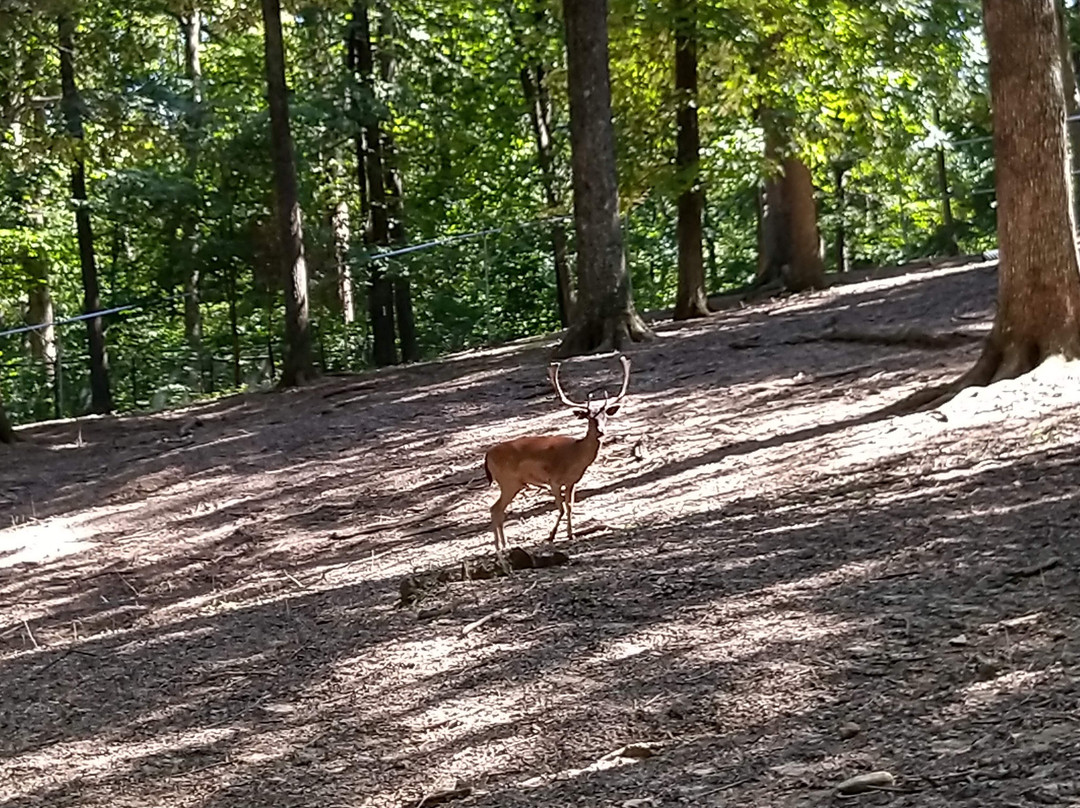 Woodlands Nature Station-Cadiz必去景点