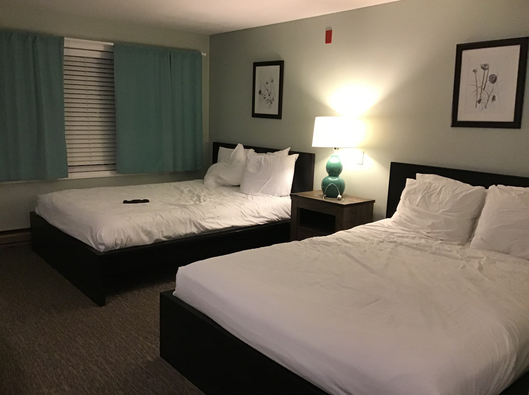 Lighthouse Inn & Suites主图